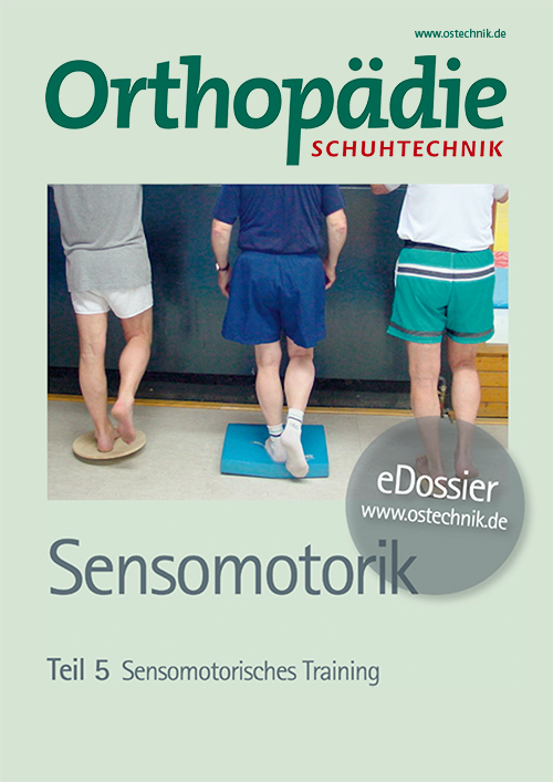 sensomotorik